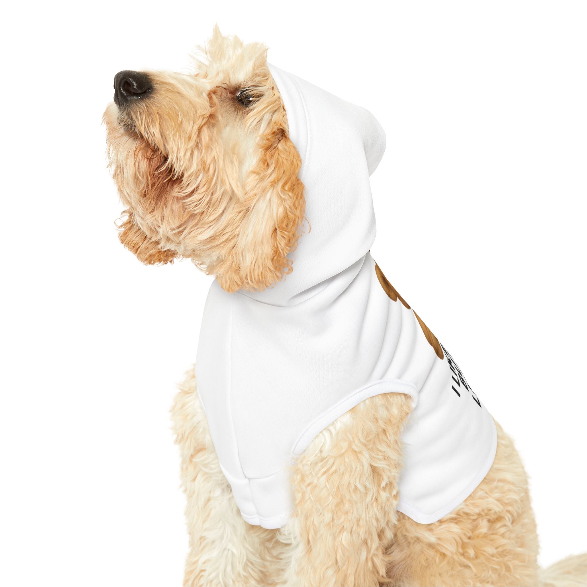 Pet Hoodie — "I Like to Party But I Also Like to Nap" Teddy Unicorn Dog Hoodie