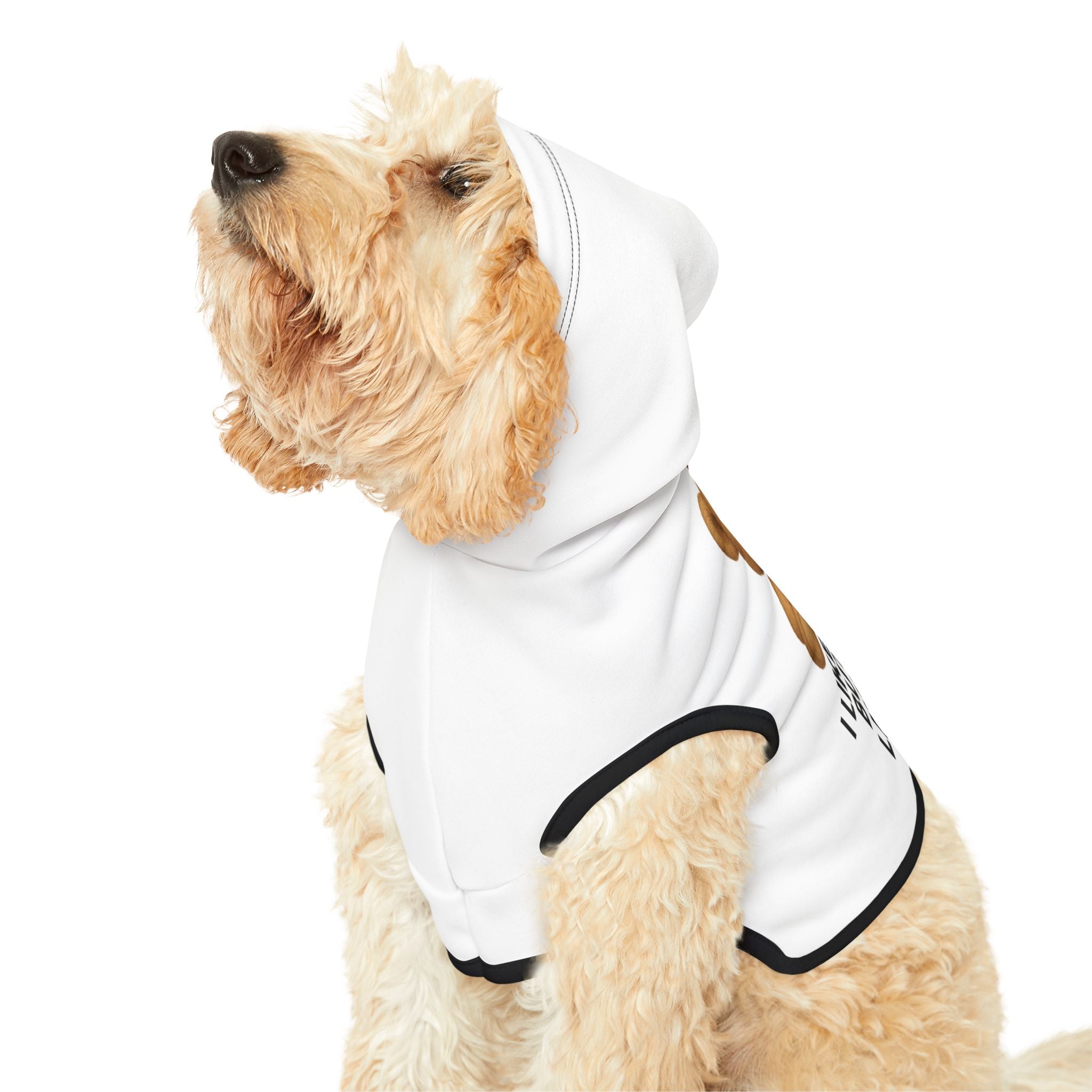 Pet Hoodie — "I Like to Party But I Also Like to Nap" Teddy Unicorn Dog Hoodie